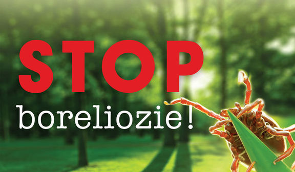 stop boreliozie