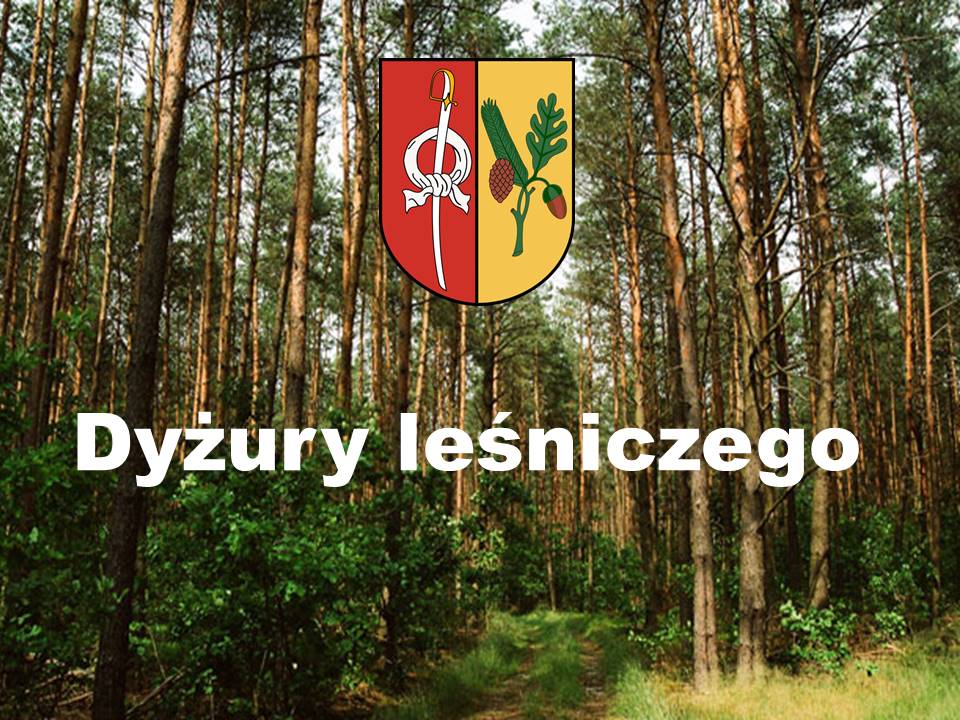 dyżury leśniczego