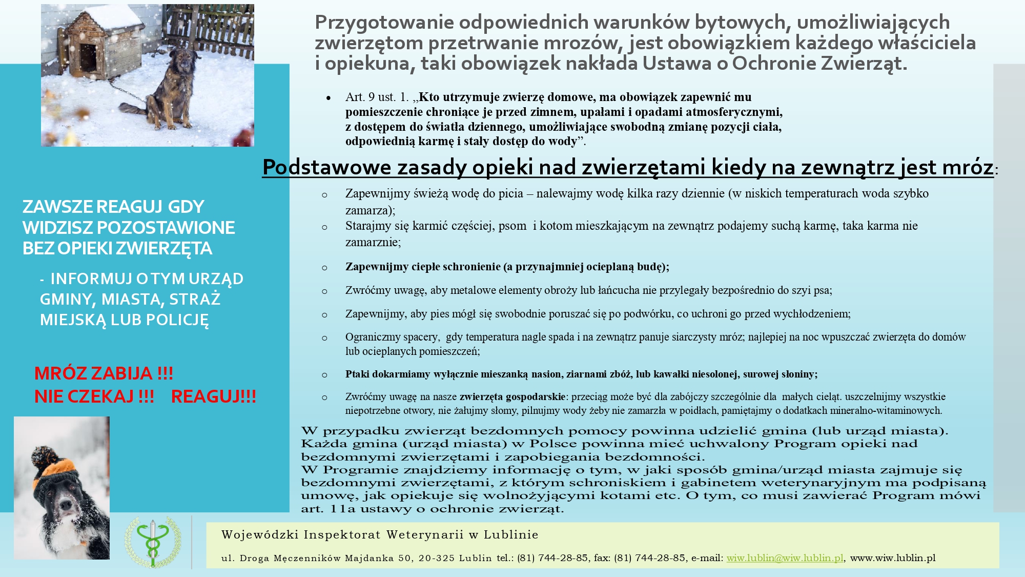 Informacja od WIW w Lublinie nt. opieki nad zwierzętami podczas mrozów.